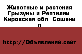 Животные и растения Грызуны и Рептилии. Кировская обл.,Сошени п.